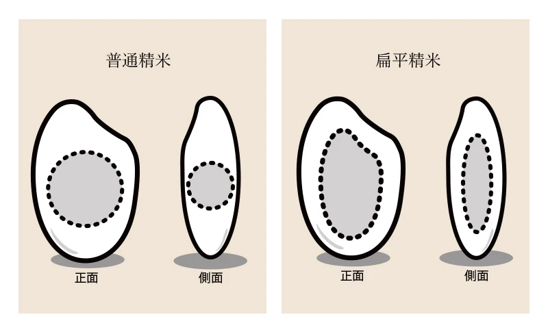 扁平精米とは