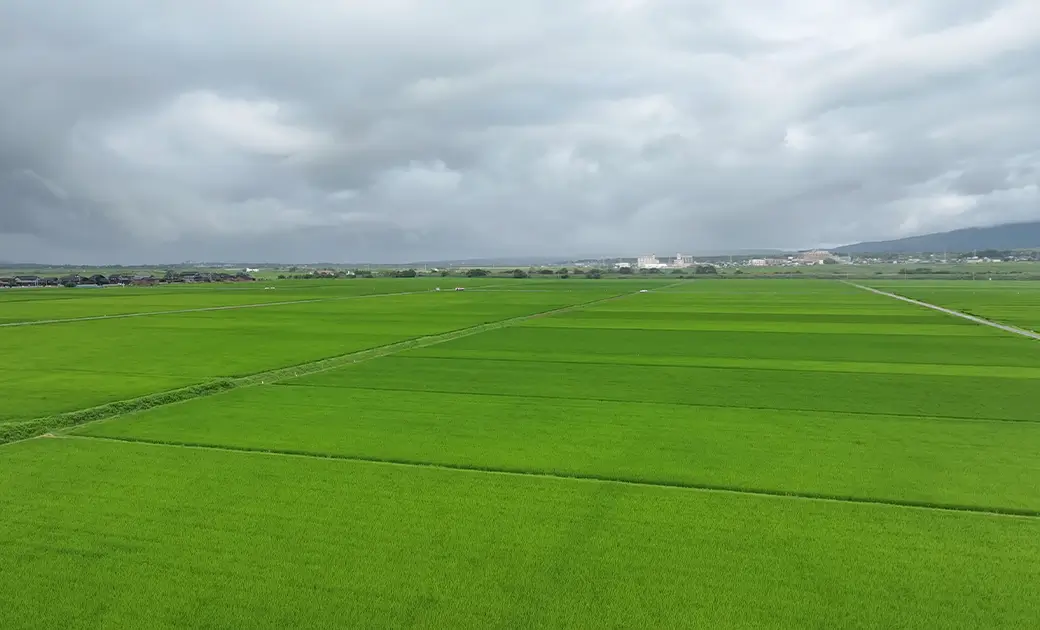 佐渡の地勢が生み出す水