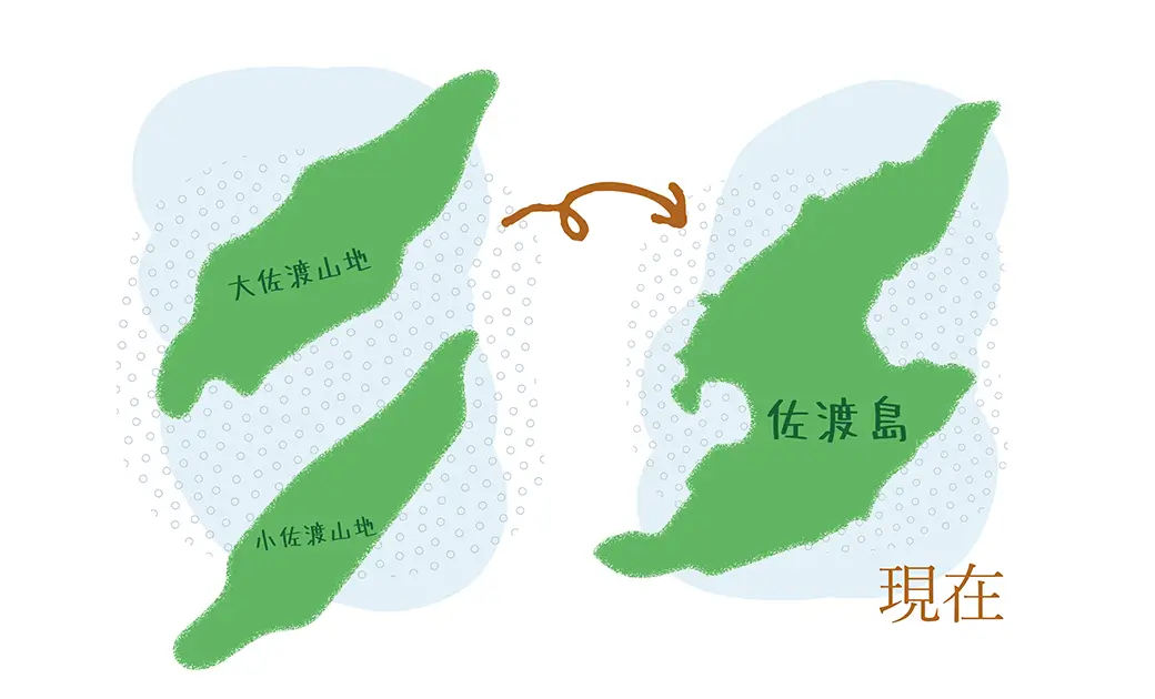 佐渡の地勢が生み出す水