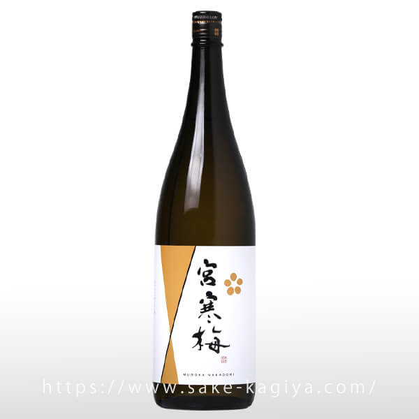 �ܴ��� �������� ̵�ɲ� ���� ����