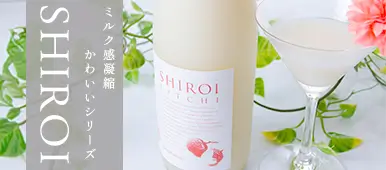 襤򤤥饤